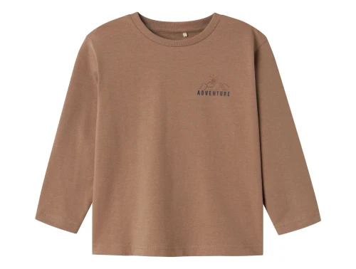 Name It leafless tree top